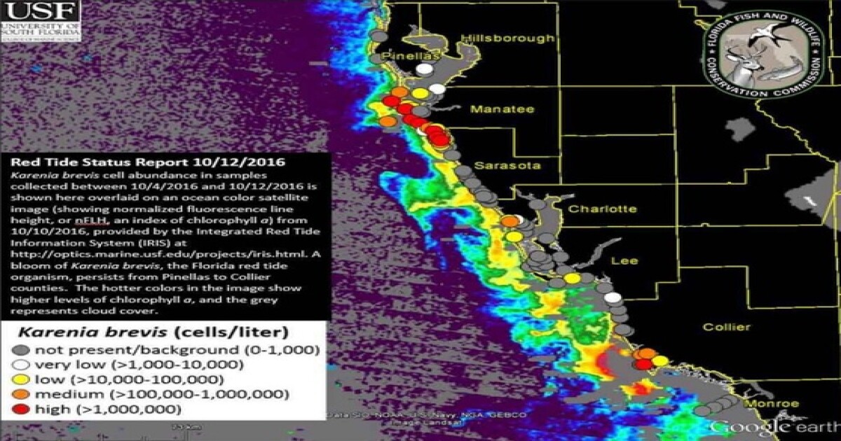 Red Tide Levels Rise In Southwest Florida red-tide-levels-rise-in-southwest-florida